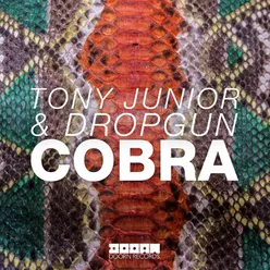 Cobra Radio Edit