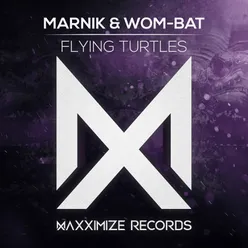 Flying Turtles Extended Mix