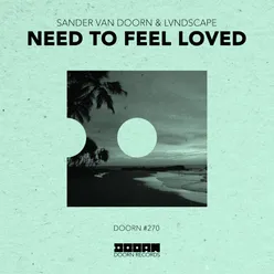 Need To Feel Loved Extended Mix