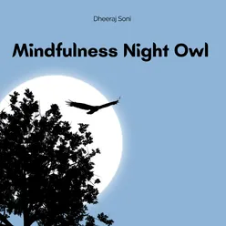 Mindfulness Night Owl