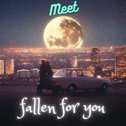 FALLEN FOR YOU