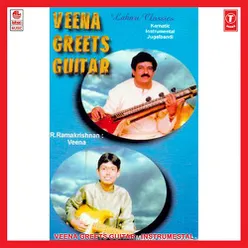 Veena Greets Guitar