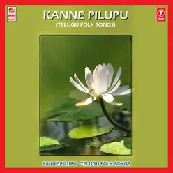 Kanne Pilupu