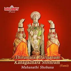 Thirumalai Darisanam  Kanagadhara Stothram