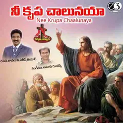 Nee Krupa Chaalunaya