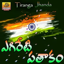 Egireti Patakam( Telugu Patriotic Songs)