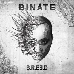 Binate feat Unbound