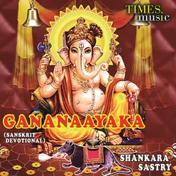 Gananaayaka Ashtakam