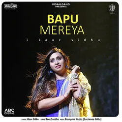 Bapu Mereya