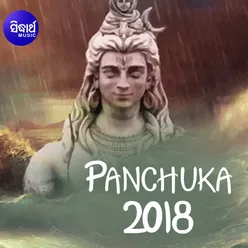 Panchuka-2018