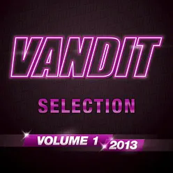 VANDIT Selection 2013, Vol. 1