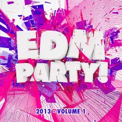 EDM Party! 2013, Vol. 1