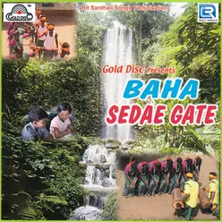 Baha Sedae Gate