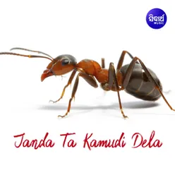 Janda Ta Kamudi Dela