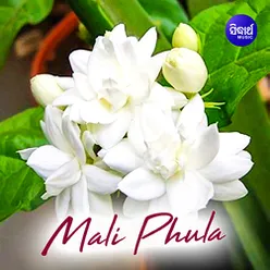 Mali Phula