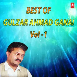 Best Of Gulzar Ahmad Ganai Vol-1