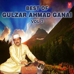 Best Of Gulzar Ahmad Ganai Vol-3