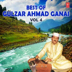 Best Of Gulzar Ahmad Ganai Vol-4