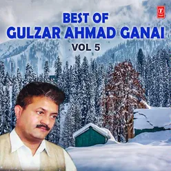 Best Of Gulzar Ahmad Ganai Vol-5