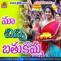 Chinni Ma Bathukamma