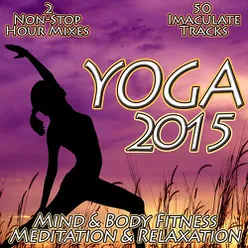 Yoga 2015 - Core Strength Flexibility to Power Stretching Yoga Mi