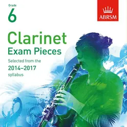 Violin Concertino Arr. for Clarinet