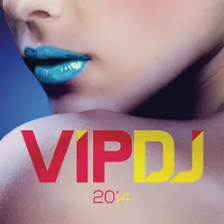 Various Artists - VIP DJ 2014