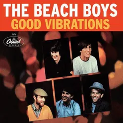 The Beach Boys Good Vibrations