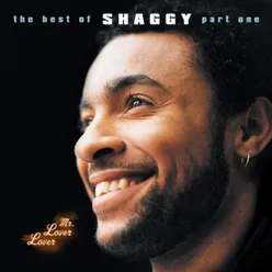 Shaggy - Mr Lover Lover - The Best Of Shaggy...