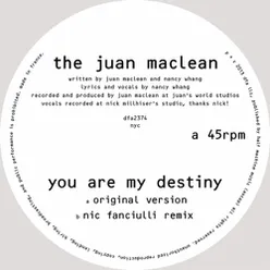 You Are My Destiny (Nic Fanciulli Remix)