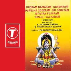 Rudram Namakam Chamakam Purusha Sooktam Sri Sooktam Mantra Pushpam Swati Vachanam