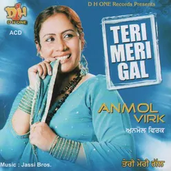 Teri Meri Gal