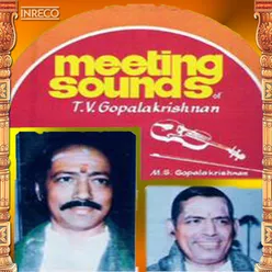 Meeting Sounds Of T.V.Gopalakrishnan