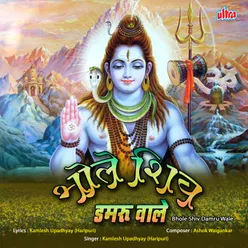 Bhole Shiv Damru Wale