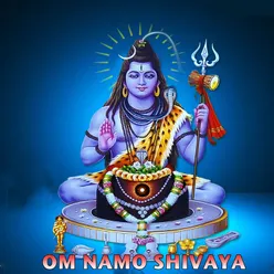 Om Namo Shivaya