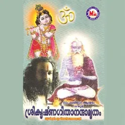 Sree Krishna Geethaanandaamrutham