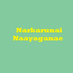 Narkarunai Naayaganae