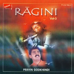 Ragini Vol.3