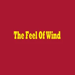 The Feel Of Wind