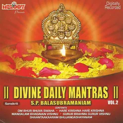Divine Daily Mantras Vol.2