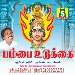 Pambai Udukkai