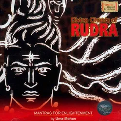 Shri Rudra Dhyanam