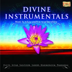 Divine Instrumentals