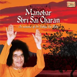 Bhabhuti Sai Lagaye Re