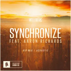 Synchronize (VIP Mix / Acoustic) [feat. Aaron Richards]