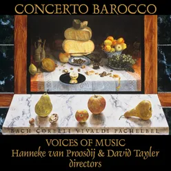 Allegro - Antonio Vivaldi - Concerto In C Minor for Violin Organ and Strings RV 766