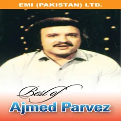 Best Of Amjad Pervez