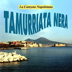 Tammuriata nera