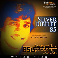 Silver Jubilee 85