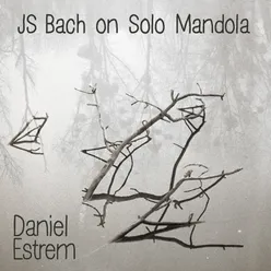 JS Bach on Solo Mandola